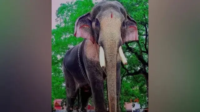 Thechikottukavu Ramachandran