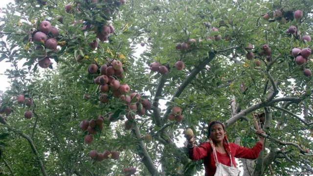 నేపాల్లో అనేక వదంతులు వ్యాపిస్తున్నాయి