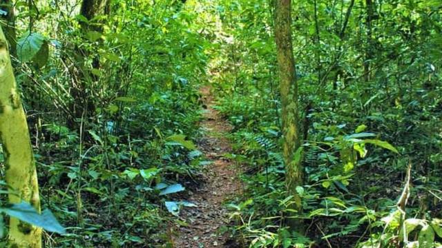 trilha do caminhonbet91 compeabiru