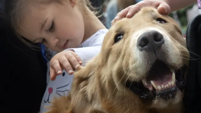 개를 쓰다듬고 있는 한 아이