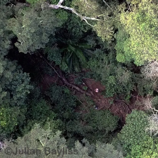 दक्षिण अफ्रीका का वो इलाक़ा, जहां इंसान नहीं पहुंच पाया