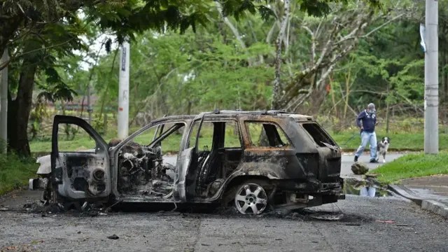 Vehículo incinerado