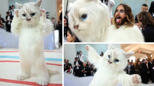 Jared Leto, dress as Karl Lagerfeld cat Choupette, as e attend The 2023 Met Gala wey Celebrate "Karl Lagerfeld: A Line Of Beauty" for The Metropolitan Museum of Art on May 01, 2023 in New York City