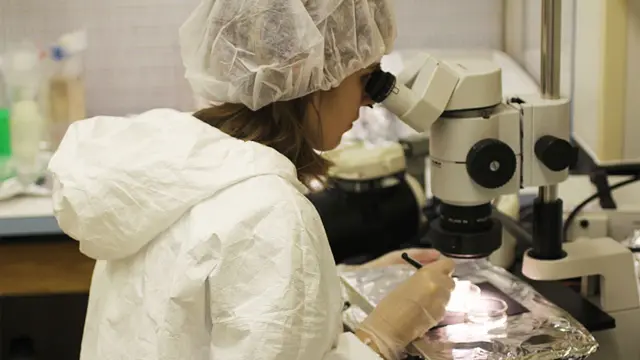 Levke Kööp analizando muestras de hibonita en el microscopio