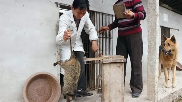 Мужчина с животным в руке