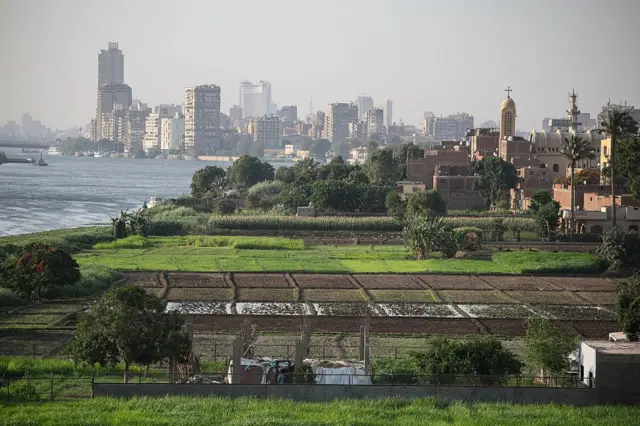 Qonnaan bultoota Masrii Laga Abbayyaan qonna qotan