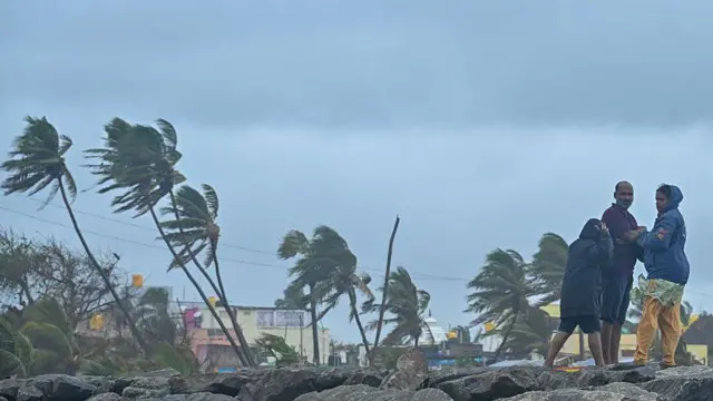 திட்வா புயல், தமிழ்நாடு