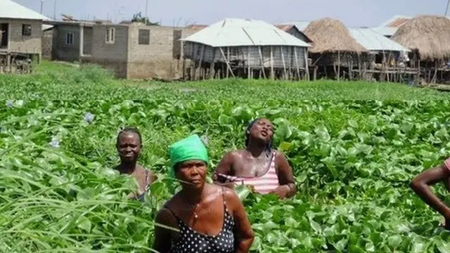 Folha Mouftaou, David Gnonlonfoun, Green Keeper Africa,