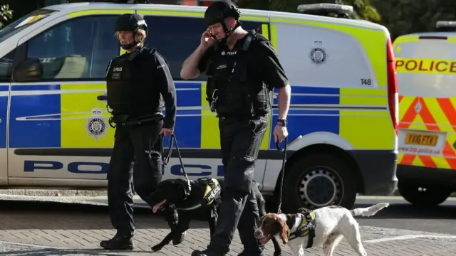 полицейские с собаками