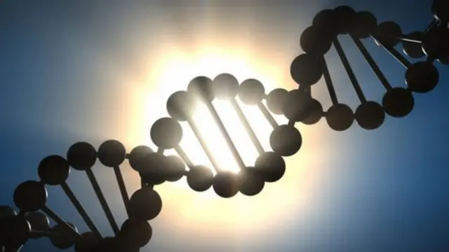 జన్యువు