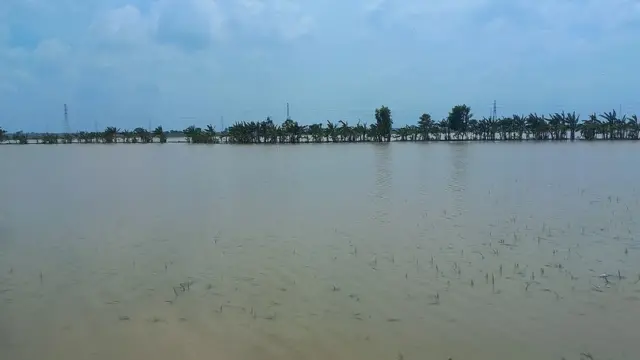 petani perubahan iklim