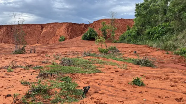సొసైటీ చదును చేసిన స్థలం
