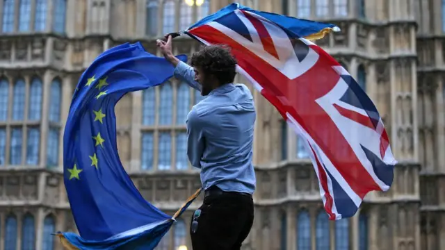 Демонстрант у парламента Британии