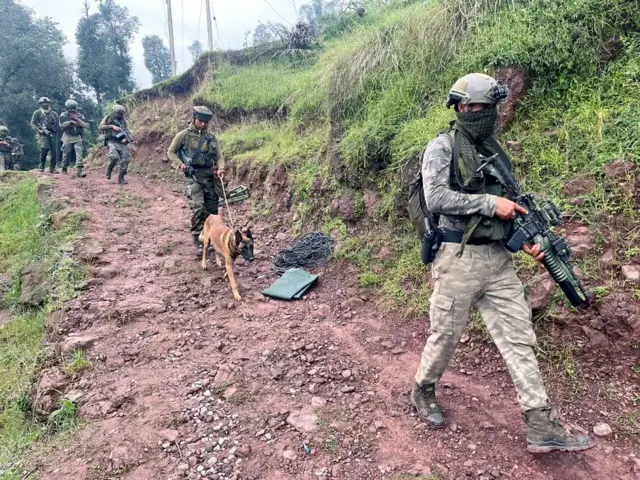 भारतीय सेना, डॉग यूनिट