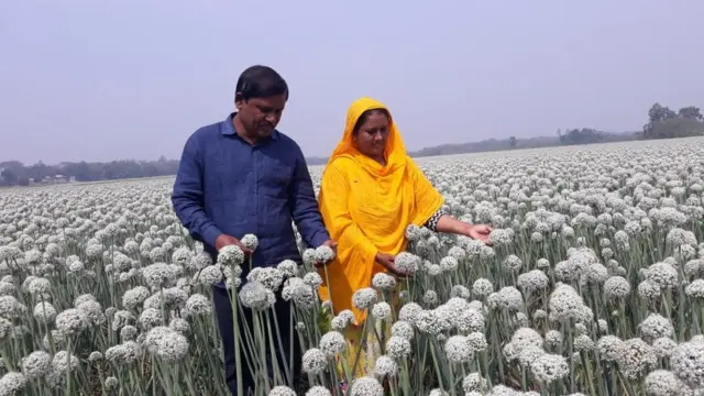 স্বামীর সাথে পেঁয়াজের জমিতে সাহিদা বেগম।