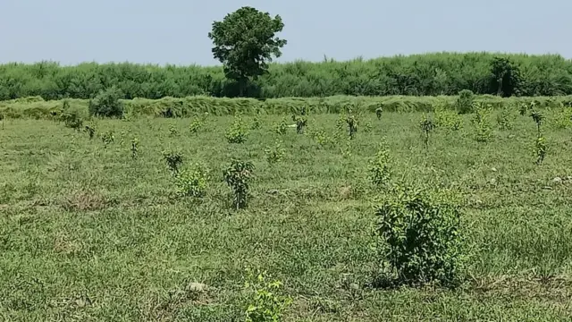 Zubair Ahmad Channar