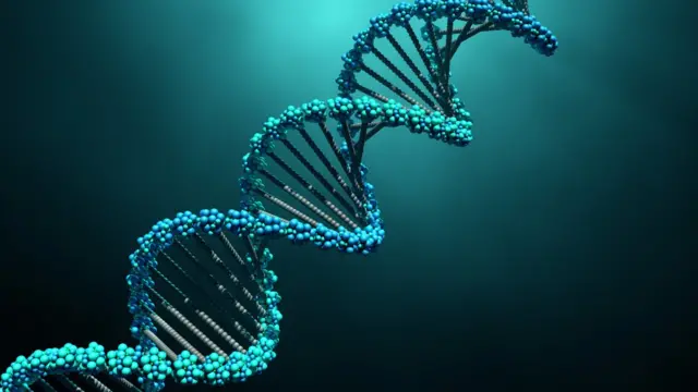 DNA