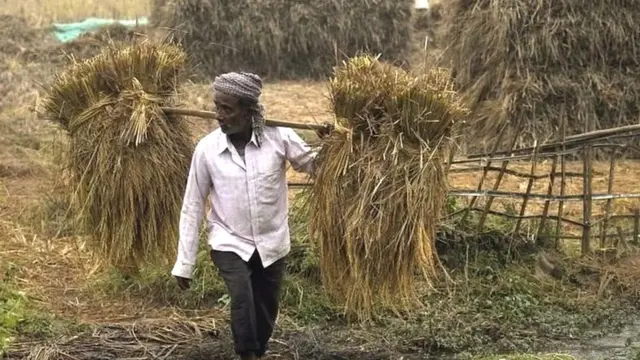 MSP, एमएसपी में वृद्धि, किसान, कृषि, भारत में किसानों की समस्या, किसान आंदोलन