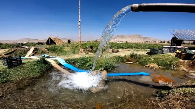 کشاورزی افغانستان