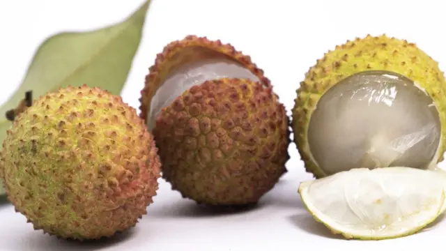 Cocok mobi porno onlayn tomosha qilish