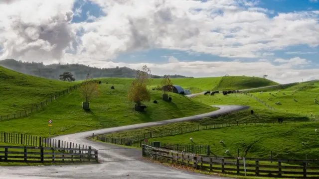 Сьемочная площадка "Хоббитона" стала туристической достопримечательностью