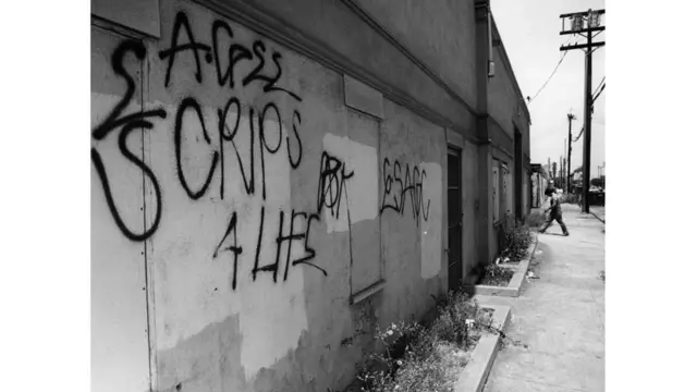 Avalon Gardens, Los Ángeles