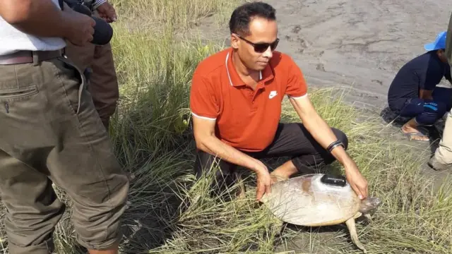 কচ্ছপ উদ্ধার।