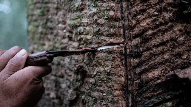 प्राकृतिक रबड़