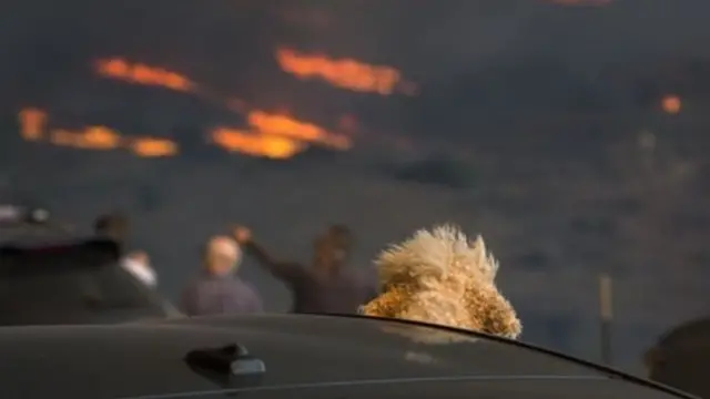 கலிஃபோர்னியாவில் காட்டுத்தீ