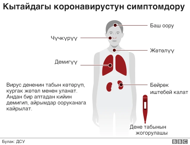 Коронавирус