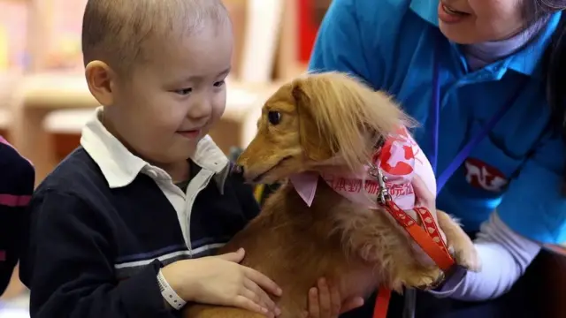 Seorang anak laki-laki terikat dengan seekor anjing di sebuah rumah sakit di Tokyo.