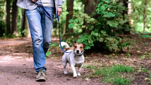 ستشعر بمتعة مؤكدة إذا تركت نفسك للمشي دون أن تشغل بالك بالفوائد التي ستعود عليك جراء ذلك