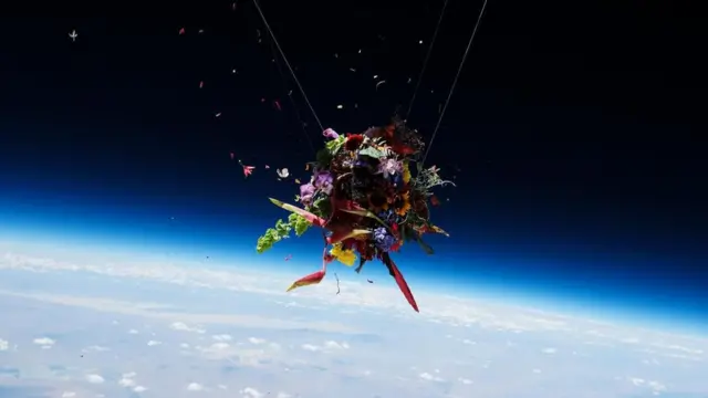 Макото Азума