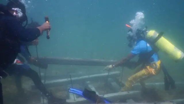 මරණාසන්න කොරල් පරයට යළි හුස්ම පිඹීමක්