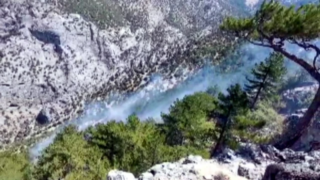 Kahramanmaraş'ta Orman Genel Müdürlüğüne bağlı yangın söndürme uçağı düştü. AA'nın haberine göre bölgeye arama kurtarma ekibi sevk edildi. Kahramanmaraş'ta bugün DHA'nın haberine göre yıldırım düşmesi sonucu yangın çıkmıştı.