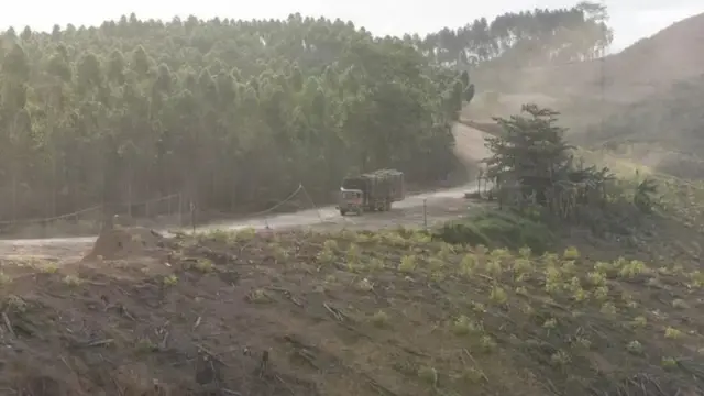 Lahan Hutan Tanaman Industri milik ITCI Hutani Manunggal di Penajam Paser Utara.
