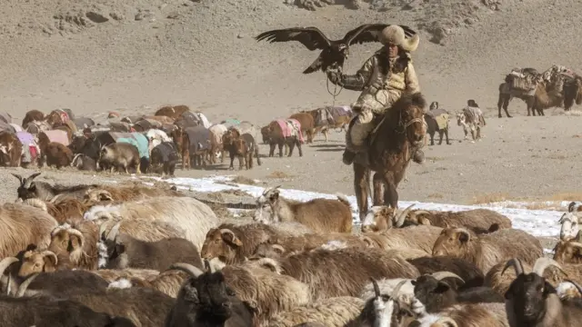 Шохан с орлом