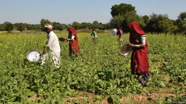 ਟਿੱਡੀ ਦਲ