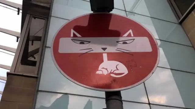 Знак СТОП з котиком