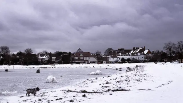 Зимний день в Уимблдоне