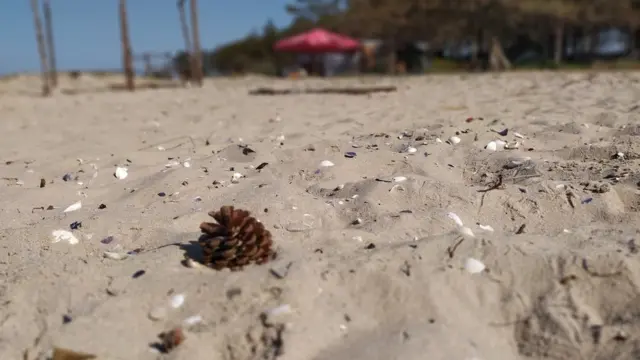 Кінбурнська коса