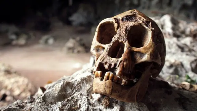 'हॉबिट' या होमो फ्लोरेसीन्सिस