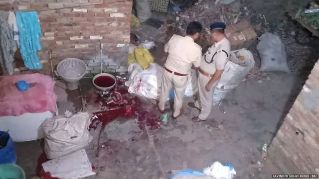ਰੋਬਿਨ