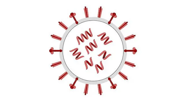 ఇన్‌ఫ్లుయెంజా