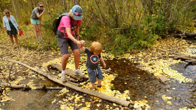 પિકનિક મનાવતો પરિવાર