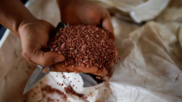 रासायनिक मल