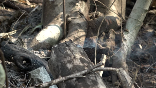 ไฟป่าภาคเหนือ