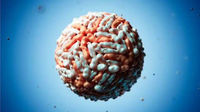 Dengue fever in Sri Lanka