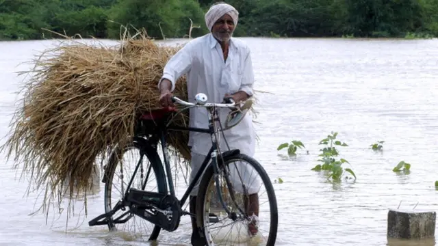 వర్షాలకు తడిసిన పంట