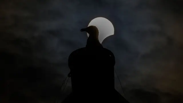 خورشید گرفتگی